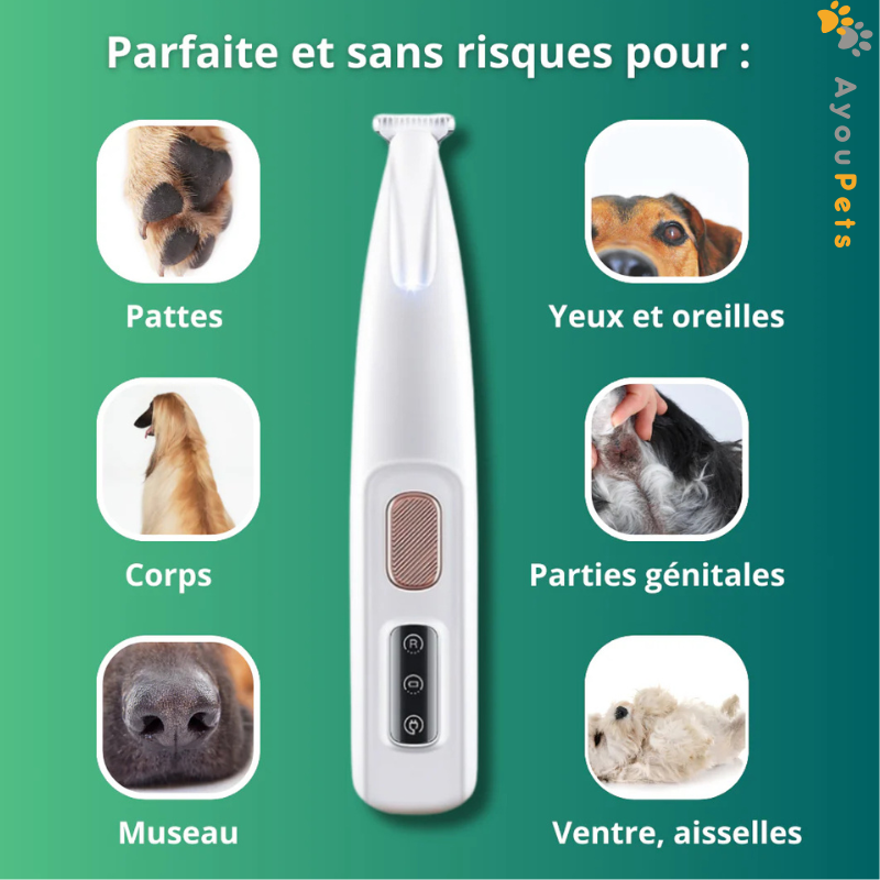 Tondeuse a pattes pour chien et chat